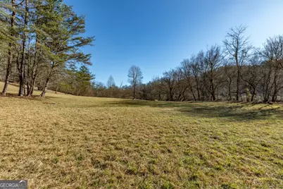 661 Toccoa River Forest, Mineral Bluff, GA 30559 - Photo 39