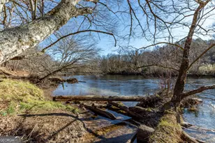 661 Toccoa River Forest, Mineral Bluff, GA 30559 - Photo 41