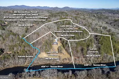 661 Toccoa River Forest, Mineral Bluff, GA 30559 - Photo 5