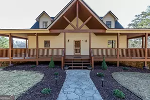 661 Toccoa River Forest, Mineral Bluff, GA 30559 - Photo 3