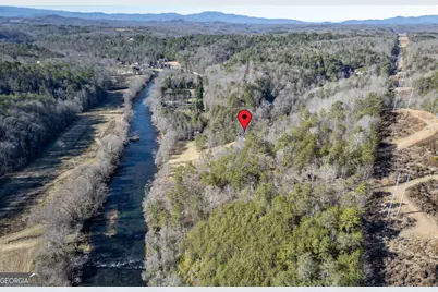 Lot 29 Toccoa River Forest, Mineral Bluff, GA 30559 - Photo 3