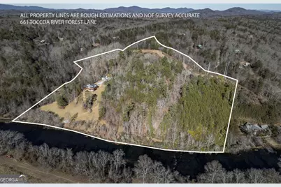 Lot 25, 26, 36 Toccoa River Forest Lane #25,26,36, Mineral Bluff, GA 30559 - Photo 1