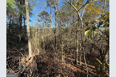 0 Confederate Drive #LOT 574, Clayton, GA 30525 - Photo 3