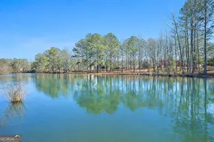 105 Lake Park Ct, Sharpsburg, GA 30277 - Photo 71