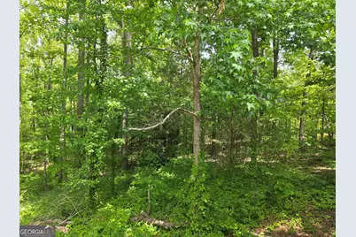 760 Hamilton Mulberry Grove Road, Cataula, GA 31804 - Photo 27