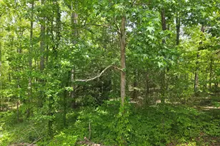 760 Hamilton Mulberry Grove Rd, Cataula, GA 31804 - Photo 27