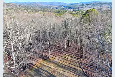 330 Scarlet Lane, Lakemont, GA 30552 - Photo 39