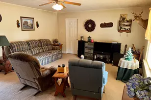 3802 Ernest Brown Rd, Elberton, GA 30635 - Photo 17