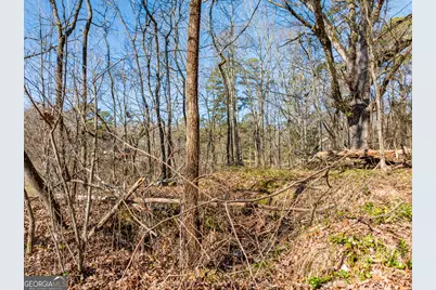 5.28 Acres Johnson Road, Chickamauga, GA 30707 - Photo 9