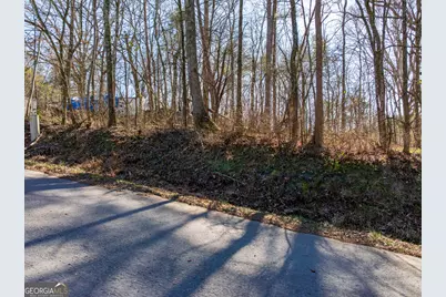 5.28 Acres Johnson Road, Chickamauga, GA 30707 - Photo 5
