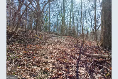 5.28 Acres Johnson Road, Chickamauga, GA 30707 - Photo 7