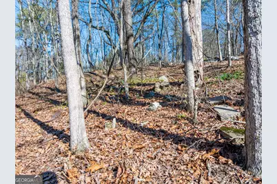 5.28 Acres Johnson Road, Chickamauga, GA 30707 - Photo 15