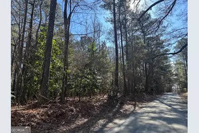 178 Crabapple Lane, Tyrone, GA 30290 - Photo 5