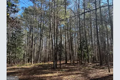 178 Crabapple Lane, Tyrone, GA 30290 - Photo 1