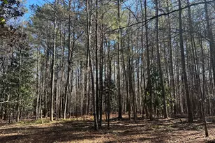 178 Crabapple Ln, Tyrone, GA 30290 - Photo 1