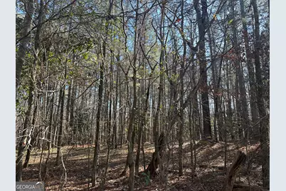 178 Crabapple Lane, Tyrone, GA 30290 - Photo 3