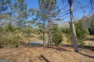 377 Dogwood Trail, Tyrone, GA 30290 - Photo 9