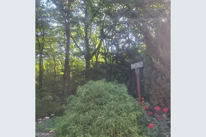 9 Cook Mountain Drive, Blairsville, GA 30512 - Photo 3