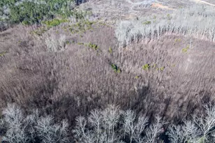 2077 Big Texas Valley, Rome, GA 30165 - Photo 39