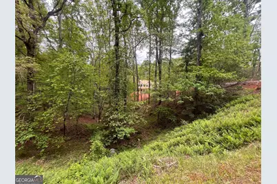 539 N Falling Water Drive, Demorest, GA 30535 - Photo 3