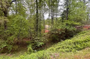 539 N Falling Water Dr, Demorest, GA 30535 - Photo 3
