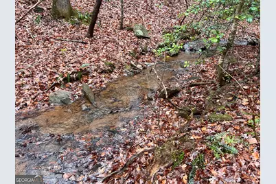 539 N Falling Water Drive, Demorest, GA 30535 - Photo 3