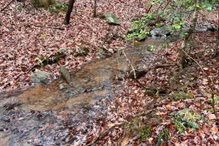 539 N Falling Water Dr, Demorest, GA 30535 - Photo 3