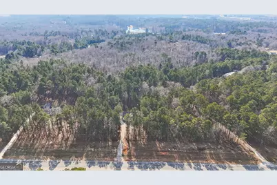 3331 US Highway 19, Meansville, GA 30256 - Photo 39