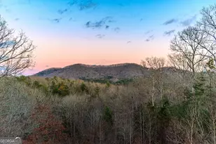 1023 Knollwood Rd, Mineral Bluff, GA 30559 - Photo 33