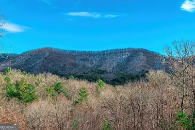 1023 Knollwood Road, Mineral Bluff, GA 30559 - Photo 83