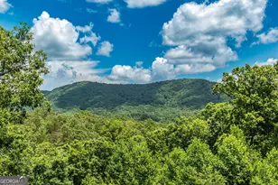 1023 Knollwood Rd, Mineral Bluff, GA 30559 - Photo 3