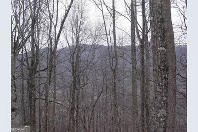 #16 Roaring Ridge, Hiawassee, GA 30546 - Photo 3
