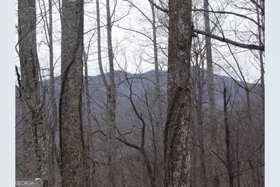 #17 Roaring Ridge, Hiawassee, GA 30546 - Photo 1