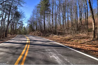 Lt 131 &amp; 132 Pack Creek Road, Blue Ridge, GA 30513 - Photo 17