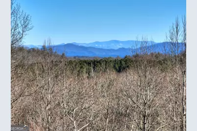 Lt 131 &amp; 132 Pack Creek Road, Blue Ridge, GA 30513 - Photo 13
