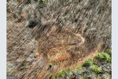 Lt 131 &amp; 132 Pack Creek Road, Blue Ridge, GA 30513 - Photo 9