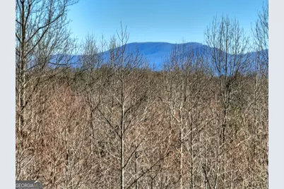 Lt 131 &amp; 132 Pack Creek Road, Blue Ridge, GA 30513 - Photo 15