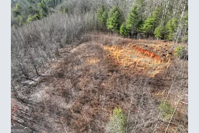 Lt 131 &amp; 132 Pack Creek Road, Blue Ridge, GA 30513 - Photo 11