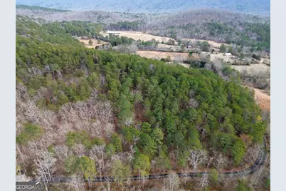 0 Manning Mill Road, Summerville, GA 30747 - Photo 11