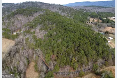 0 Manning Mill Road, Summerville, GA 30747 - Photo 9