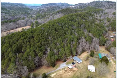 0 Manning Mill Road, Summerville, GA 30747 - Photo 13