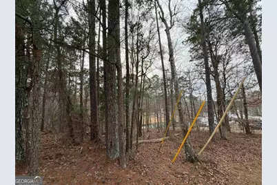 Lot 123 Lookout Trail, Sparta, GA 31087 - Photo 13