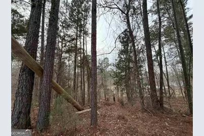 Lot 123 Lookout Trail, Sparta, GA 31087 - Photo 11