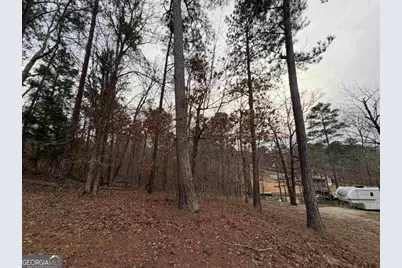 Lot 123 Lookout Trail, Sparta, GA 31087 - Photo 9