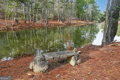 57.4 Acres County Line Church Road, Warm Springs, GA 31830 - Photo 9