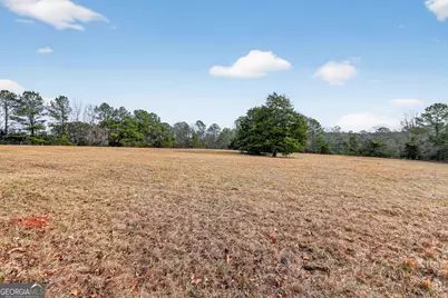 57.4 Acres County Line Church Road, Warm Springs, GA 31830 - Photo 15