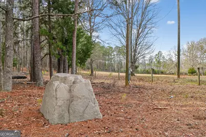 57.4 Acres County Line Church Road, Warm Springs, GA 31830 - Photo 13