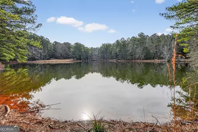 57.4 Acres County Line Church Road, Warm Springs, GA 31830 - Photo 7