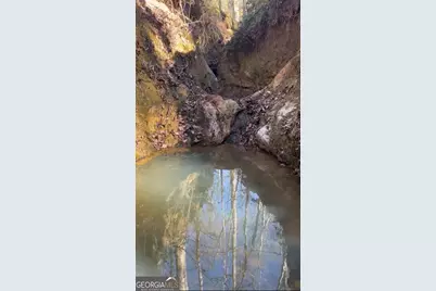 57.4 Acres County Line Church Road, Warm Springs, GA 31830 - Photo 19