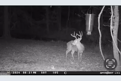 57.4 Acres County Line Church Road, Warm Springs, GA 31830 - Photo 33